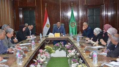 محافظ الدقهلية: 