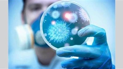 إلغاء مهرجانات تفتح زهر الكرز في اليابان بسبب كورونا