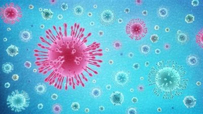 الصحة العالمية تكشف آخر تطورات فيروس كورونا في مصر