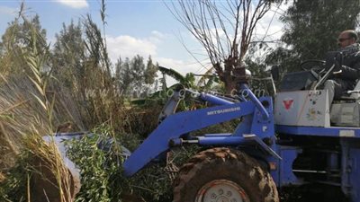 إزالة 1043 حالة تعد على إملاك الدولة بنسبة تنفيذ 368% خلال حملة 