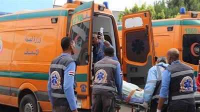 مصرع عامل أثناء ترميم غرفة صرف صحي بالبحيرة