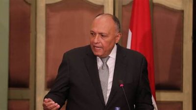 بعد إنسحاب إثيوبيا.. شكري يكشف الخطوة المقبلة بشأن أزمة سد النهضة | فيديو