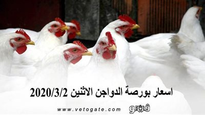 اسعار بورصة الدواجن الاثنين 2020/3/2