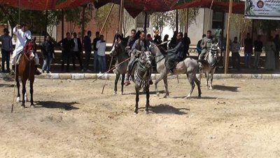 ختام فعاليات مهرجان الفروسية الأول بجامعة جنوب الوادي | صور