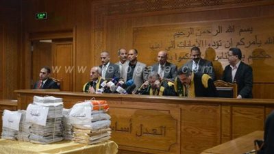 قاضي محاكمة تنظيم بيت المقدس: الإخوان استقووا بالتنظيم ضد البلاد