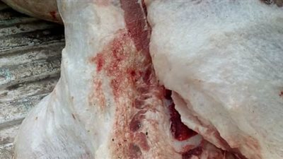 ضبط ذبائح غير صالحة للاستهلاك في حملة بإيتاي البارود