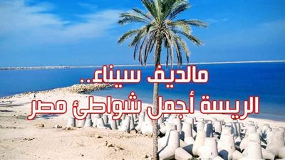 مالديف سيناء.. الريسة أجمل شواطئ مصر | فيديو جراف