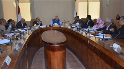 الوادي الجديد تبحث الاستفادة من الأصول غير المستغلة