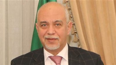 قيادي بالوفد: تنمية الوعي العام تحدي حقيقي للحكومة المصرية