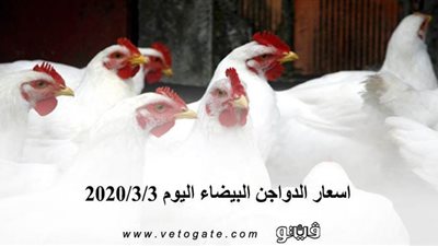 اسعار الدواجن البيضاء اليوم 2020/3/3