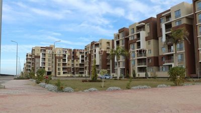 الإسكان: تخصيص 24 قطعة أرض لمشروعات صناعية وتجارية وخدمية بمدينة السادات | صور