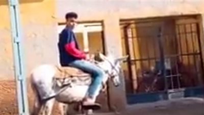 طالب يدخل مدرسة ثانوي ممتطياً حمارا في الدقهلية | فيديو