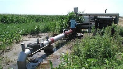 تخصيص 400 فدان لشباب الخريجين في الوادي الجديد