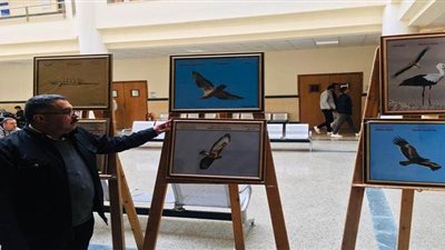 مصر تشارك العالم الاحتفال باليوم العالمي للحياة البرية| صور