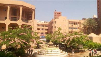 وكيل آداب بنها: منال عمر صاحبة إنشاء قسم الإعلام بجامعتنا