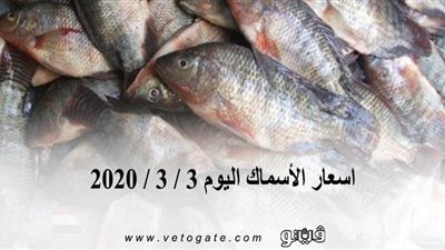 اسعار الأسماك اليوم 3 / 3 / 2020