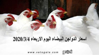 اسعار الدواجن البيضاء اليوم الاربعاء 2020/3/4
