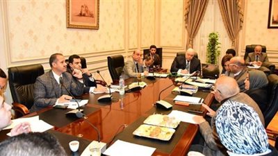 أميرة سالم: الإعلام الأجنبي حصل على أخبار وفاة مبارك من التليفزيون المصري