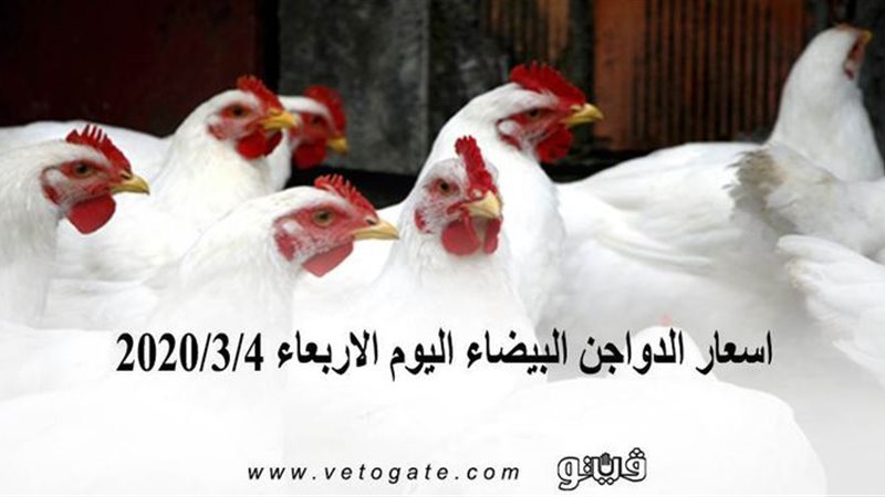 فيتو
