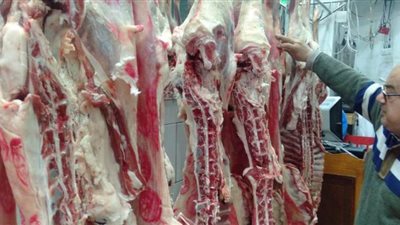 حملة للرقابة الإدارية على قطاع الخدمات التموينية بالإسكندرية