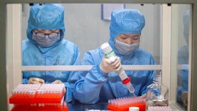 علماء صينيون يكتشفون سلالة جديدة من فيروس كورونا 