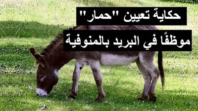 حكاية تعيين 