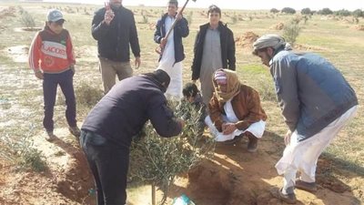 خريطة بأماكن وكميات إنتاج التين والزيتون والعنب المطروحي.. مصر تسجل لأول مرة ثلاث مؤشرات جغرافية بالاتحاد الأوروبي