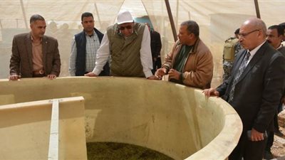 إنتاج أول دفعة من مشروع الاستزراع السمكى فى الوادى الجديد | صور