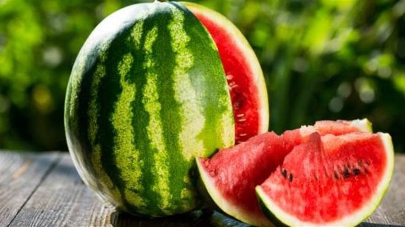 رؤية البطيخ في المنام