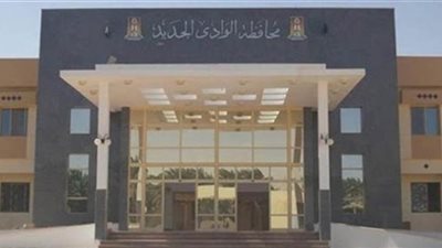 تمويل ٦٤ مشروعا في الوادي الجديد بتكلفة ٦ ملايين جنيه خلال فبراير الماضي