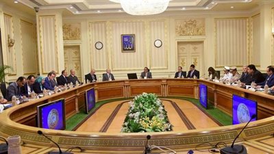 شكاوى مجلس الوزراء: التموين والتضامن و9 محافظات الأكثر نصيبا من الاستغاثات 