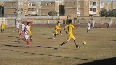 الوادي الجديد تستعد لاستضافة بطولة الجمهورية لدوري مراكز الشباب