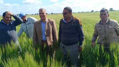 عبد العال يتفقد مزارع قطاع الإنتاج بكفر الشيخ ويطمئن على الإنتاج الحيواني وتوريد بنجر السكر