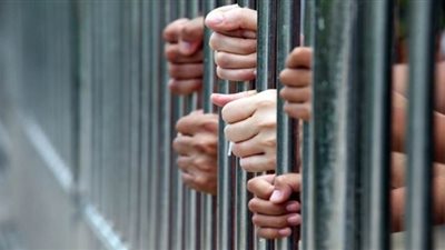 حبس تشكيل عصابي تخصص في سرقة الهواتف المحمولة بالجيزة