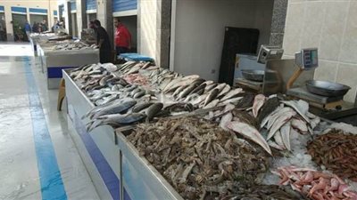 شعبة الأسماك: توقعات بانخفاض أسعار الرنجة المدخنة في شم النسيم