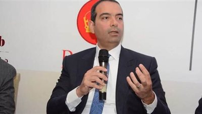 سيلمان: صندوق مصر السيادي يستهدف 80 مليار جنيه أصول