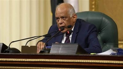 علي عبد العال ينتقد تأخر الحكومة في قرار إعادة ترسيم الحدود بين المحافظات