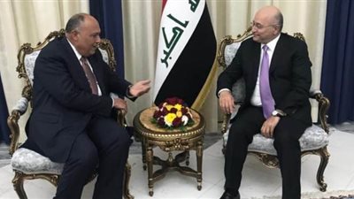 شكري يسلم الرئيس العراقي رسالة من السيسي متعلقة بملف سد النهضة