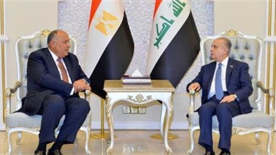 وزير خارجية العراق يبحث مع شكري التعاون الثنائي وقضايا المنطقة| صور