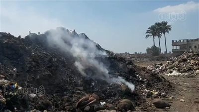 أمراض وحشرات وثعابين.. أهالي «سندبسط» بالغربية يستغيثون من مقلب قمامة القرية