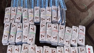 ضبط كمية من الأقراص المنشطة مخفاة داخل شاحنة رمان بميناء نويبع 