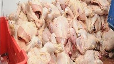 مصادرة 3 أطنان دواجن فاسدة داخل مطعم شهير بالجيزة