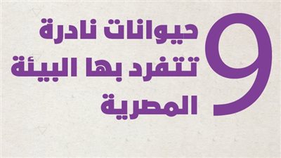 9 حيوانات نادرة تتفرد بها البيئة المصرية | إنفوجراف