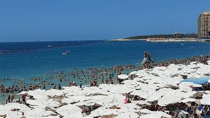 حماية شواطئ اسكندرية،