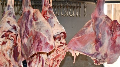 أسعار اللحوم اليوم الأربعاء داخل السلاسل التجارية