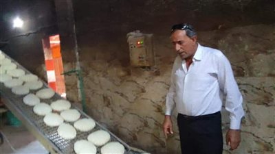 تحرير 3 مخالفات في حملات على مخابز الدقهلية