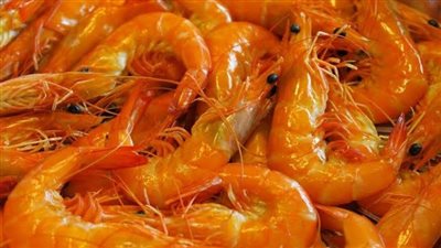 يعشقه الكبار والصغار.. طريقة عمل الجمبري المسلوق