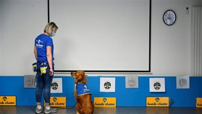  بيعرف النتيجة قبل 