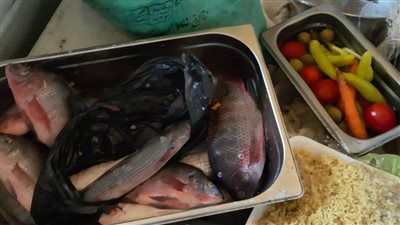  تحرير 37 محضرا وغلق 7 منشآت وإعدام أطنان أغذية فاسدة في الدقهلية | صور