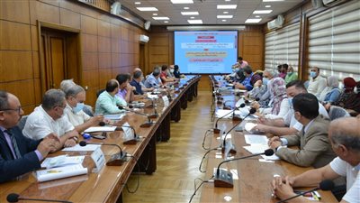 لجنة لتسيير مشروع تطوير العشوائيات للمناطق غير المخططة بالمنصورة | صور 